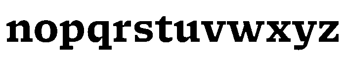 NaNSerfAMicro Bold Font LOWERCASE
