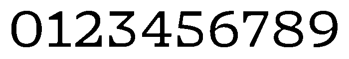 NaNSerfAMicro Book Font OTHER CHARS