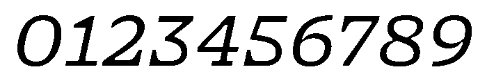 NaNSerfAMicro BookItalic Font OTHER CHARS