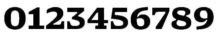 NaNSerfAMicro ExtraBold Font OTHER CHARS