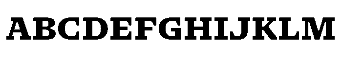 NaNSerfAMicro ExtraBold Font UPPERCASE