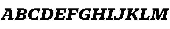 NaNSerfAMicro ExtraBoldItalic Font UPPERCASE