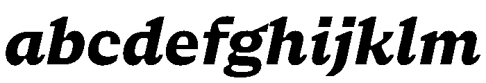 NaNSerfAMicro ExtraBoldItalic FONT
