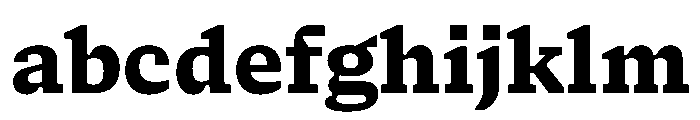 NaNSerfAMicro ExtraBold FONT