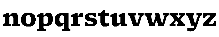 NaNSerfAMicro ExtraBold Font LOWERCASE
