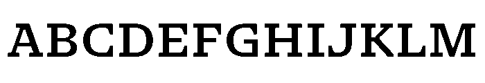 NaNSerfAMicro Medium Font UPPERCASE