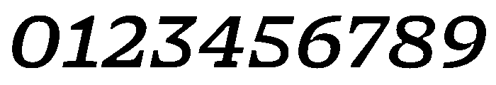 NaNSerfAMicro MediumItalic Font OTHER CHARS