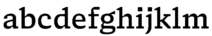 NaNSerfAMicro Medium FONT