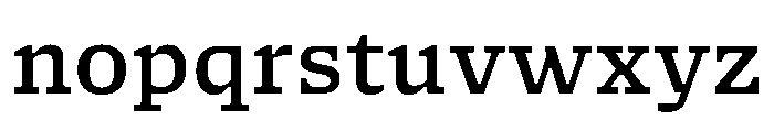 NaNSerfAMicro Medium Font LOWERCASE