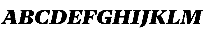 NaNSerfAText BlackItalic Font UPPERCASE