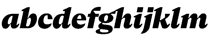 NaNSerfAText BlackItalic FONT