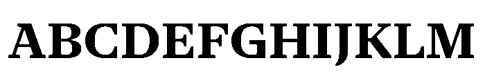 NaNSerfAText Bold Font UPPERCASE