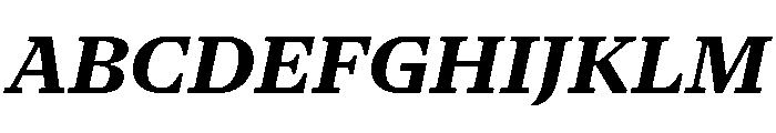 NaNSerfAText BoldItalic Font UPPERCASE