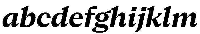 NaNSerfAText BoldItalic FONT