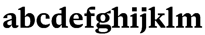 NaNSerfAText Bold FONT