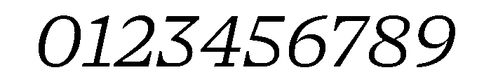 NaNSerfAText BookItalic Font OTHER CHARS