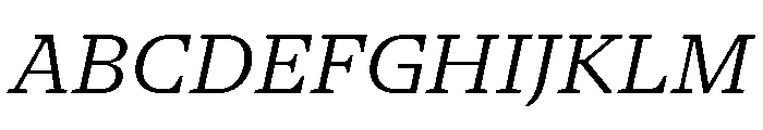 NaNSerfAText BookItalic Font UPPERCASE