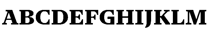 NaNSerfAText ExtraBold Font UPPERCASE
