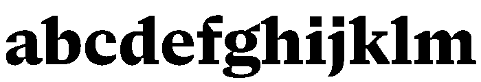 NaNSerfAText ExtraBold FONT