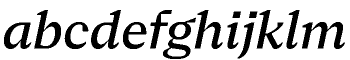NaNSerfAText MediumItalic FONT