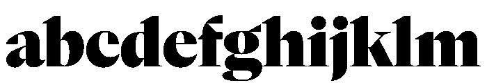 NaNSerfBDisplay Black FONT
