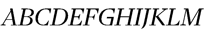 NaNSerfBHeadline Italic Font UPPERCASE
