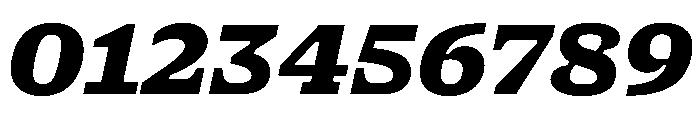 NaNSerfBMicro BlackItalic Font OTHER CHARS