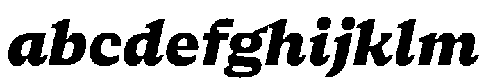 NaNSerfBMicro BlackItalic FONT