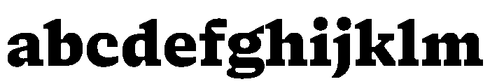 NaNSerfBMicro Black FONT