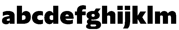 NaNSerfSans Black FONT
