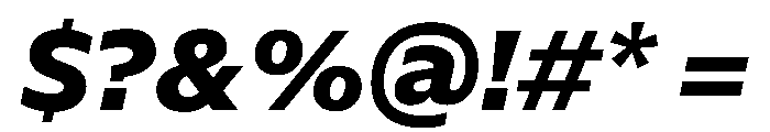 NaNSerfSans ExtraBoldItalic Font OTHER CHARS