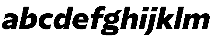 NaNSerfSans ExtraBoldItalic FONT