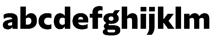 NaNSerfSans ExtraBold FONT