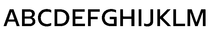 NaNSerfSans Medium Font UPPERCASE