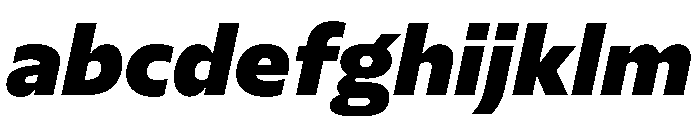 NaNSerfSansGreek BlackItalic FONT