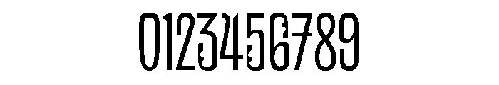 NaNSuccessSans Regular Font OTHER CHARS