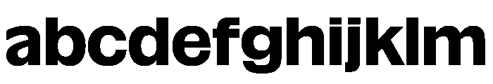 NaNSuperXSansDisplay PREVIEW Bold FONT