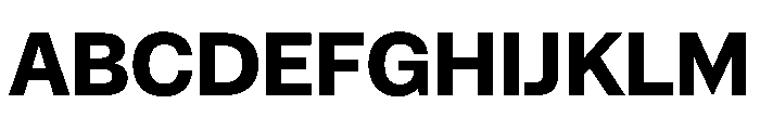 NaNSuperXSansHeadline PREVIEW Bold Font UPPERCASE