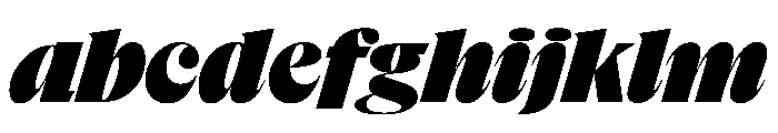 NaNSuperXSerifDisplay PREVIEW BlackItalic FONT