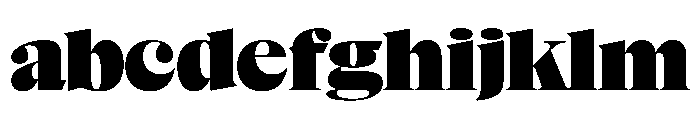 NaNSuperXSerifDisplay PREVIEW Black FONT