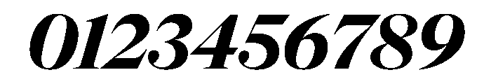 NaNSuperXSerifDisplay PREVIEW BoldItalic Font OTHER CHARS
