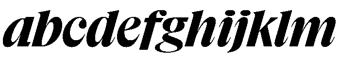 NaNSuperXSerifDisplay PREVIEW BoldItalic FONT