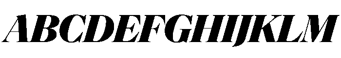 NaNSuperXSerifDisplay PREVIEW ExtraBoldItalic Font UPPERCASE