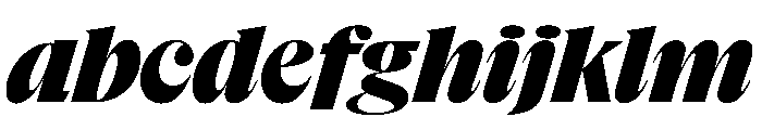 NaNSuperXSerifDisplay PREVIEW ExtraBoldItalic FONT