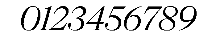 NaNSuperXSerifDisplay PREVIEW Italic Font OTHER CHARS