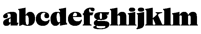 NaNSuperXSerifHeadline PREVIEW Black FONT