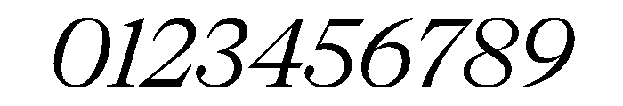 NaNSuperXSerifHeadline PREVIEW Italic Font OTHER CHARS