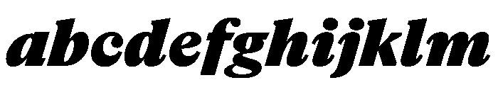 NaNSuperXSerifText PREVIEW BlackItalic FONT