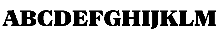 NaNSuperXSerifTextAR PREVIEW Black Font UPPERCASE