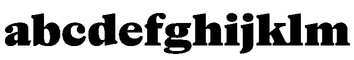 NaNSuperXSerifTextAR PREVIEW Black FONT